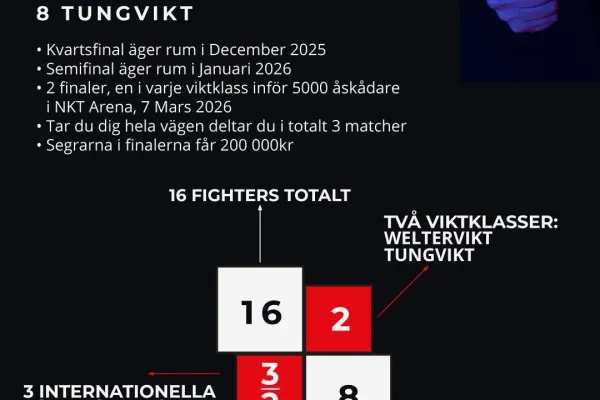 Internationell MMA-gala - Last Man Standing