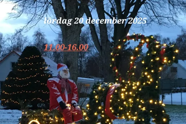 Kustvägens Julsafari 2025