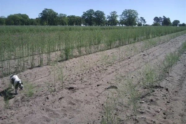 Bond-gårdens Gårdsbutik