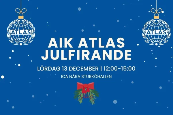 Julmarknad