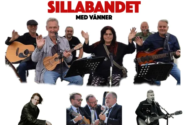 Toner från himlen: Sillabandet med vänner