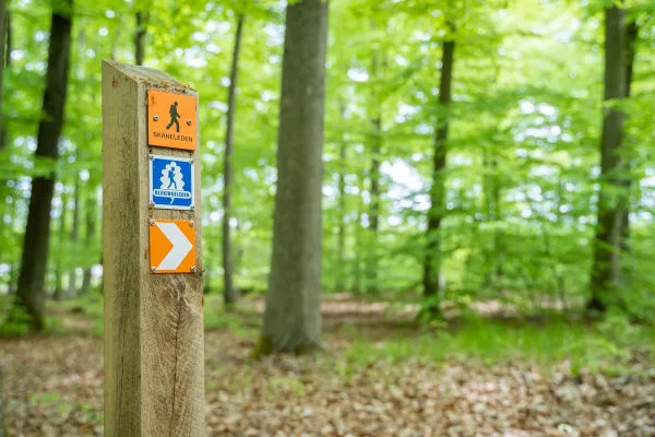 Blekingeleden - Sölvesborg-Grundsjön