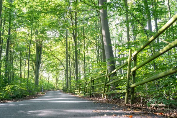 Brötalyckornas Naturreservat 