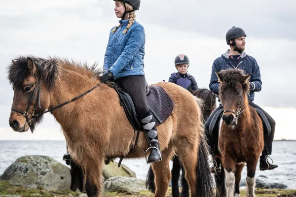 Fornhaga Islandshästar 