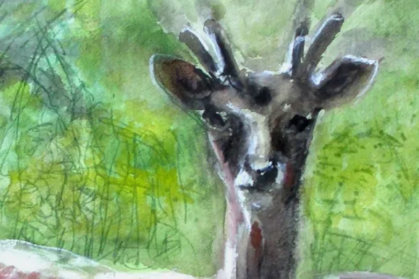 Galleri Aua - Blå husen