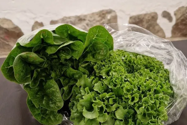 Gårdsbutik Noaboden