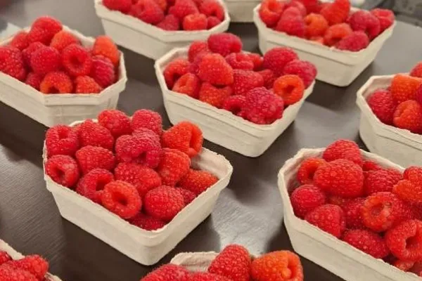 Gårdsbutik Noaboden