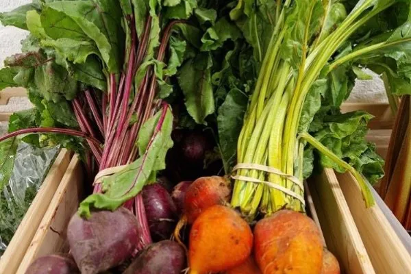 Gårdsbutik Noaboden