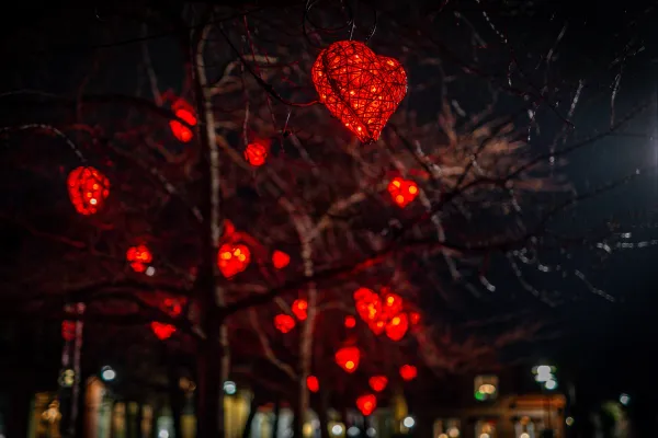 Luciatåg - Sölvesborgs barnkör