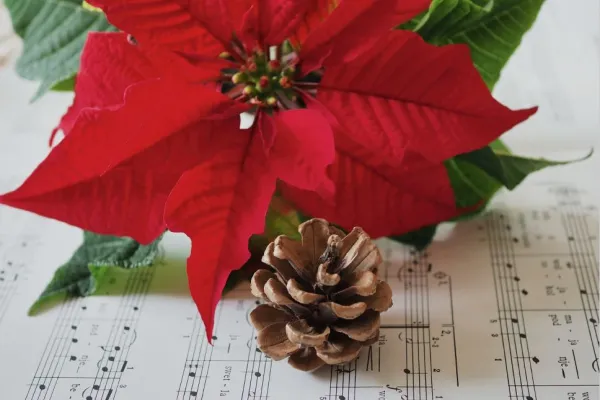 Julens sånger och psalmer - Förkärla