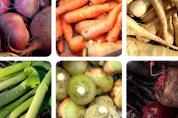 Möllekulla länsmansgård 