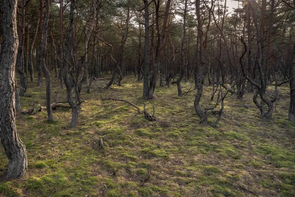 Naturreservat Västra Torsö