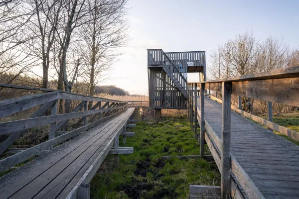 Siesjö våtmarksled
