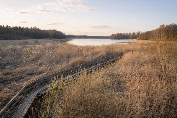 Siesjö Östra - naturreservat