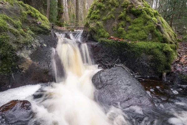 Skinsagylet - Naturreservat 