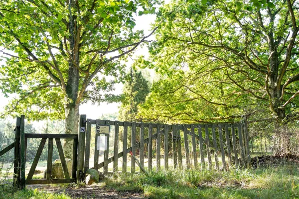 Stiby Backe - Naturreservat 