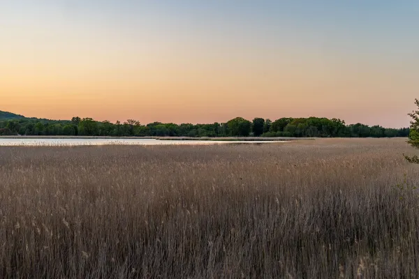 Sölvesborgsvikens naturreservat