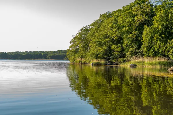 Valje Halvö - Naturreservat 