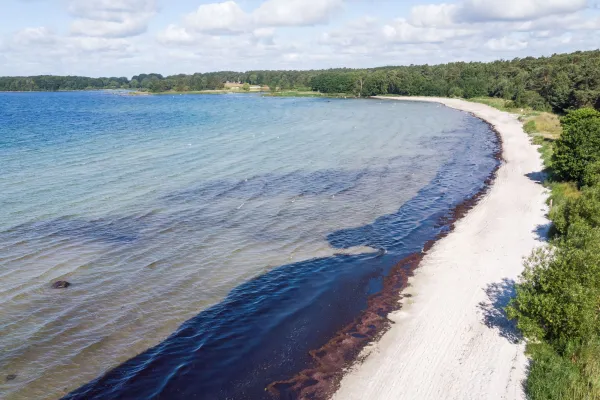 Västra Torsö strand