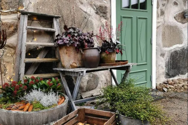 Matilda Möllerström - yoga, behandling och hästträning