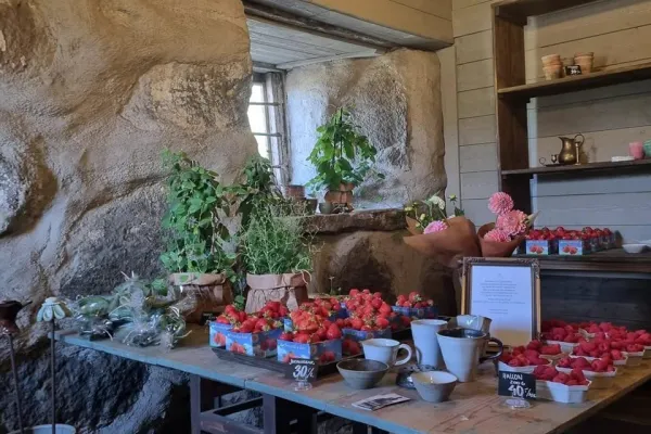 Mjällby Ljunga gårdsbutik