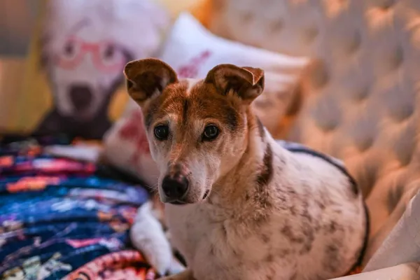 Jonna på Södra Sund