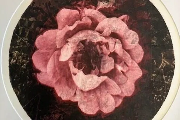 Exhibition - Cecilia Uhlin och Tina Liljegren