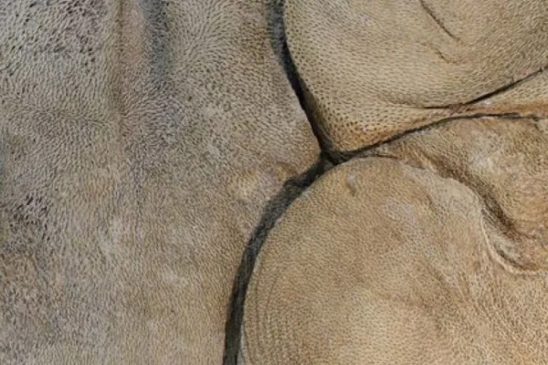 Kulturcentrum i Ronneby Konsthall - Utställning