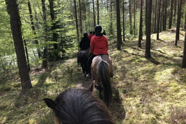 Ridhelg med Villa Sharevik