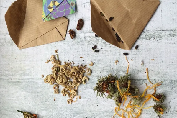 Fröbytarveckor på biblioteket