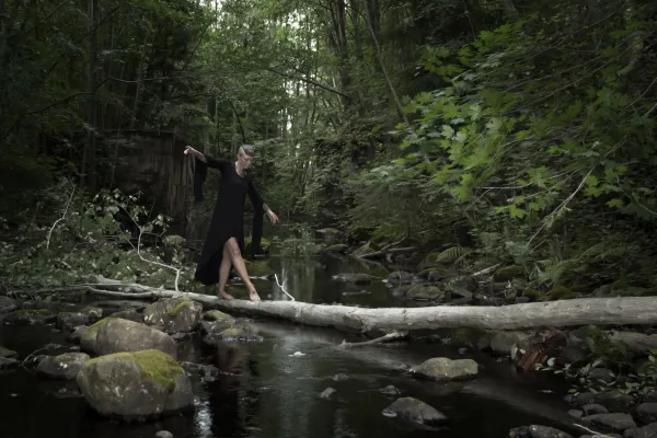 Trolldom eller läkekonst - örtmedicin genom historien