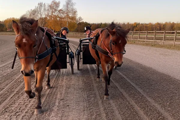 Sportlovsläger på Karlshamns Travskola