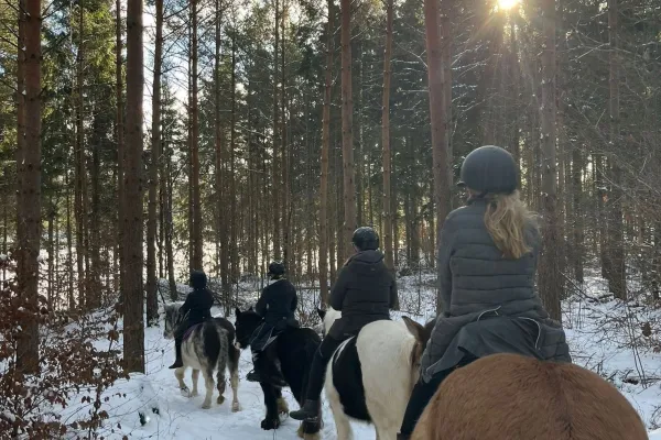 Ponnytur i skogen 