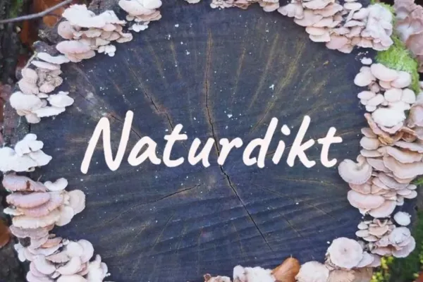 Naturdikt - Guidade vandringar