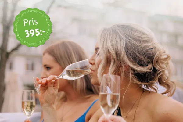 Tjejkväll med bubbel och spa 