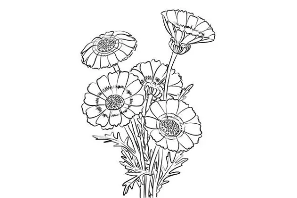 Rita & måla på Hoby bibliotek