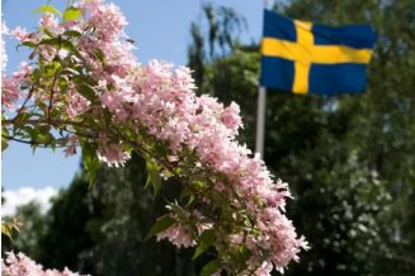 Nationaldag i Brunnsparken 