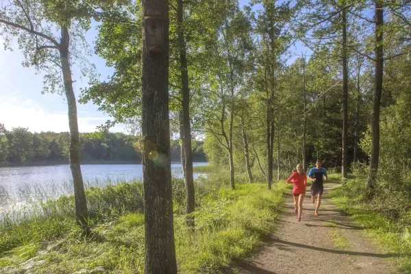 Motionsspår - Långasjönäs