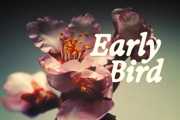 Brådjupa Dansfestival