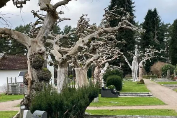 Bredåkra kyrkogård 