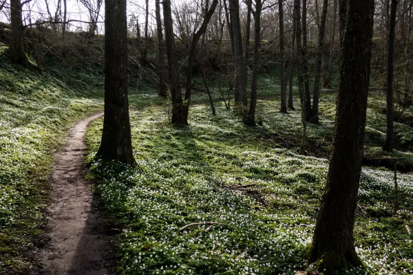 Vandringsled - Ådalen