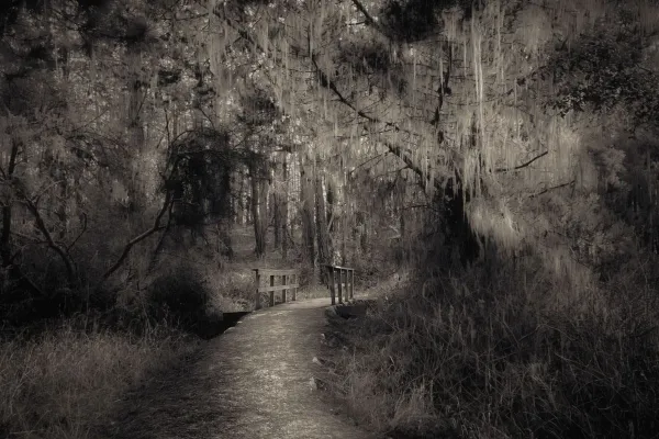 Pernilla Persson & Thomas Andersson 