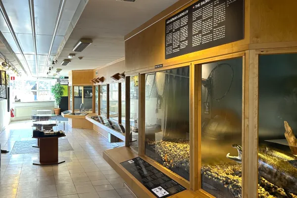 Laxens Hus i Mörrum