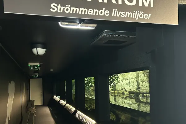 Laxens Hus i Mörrum