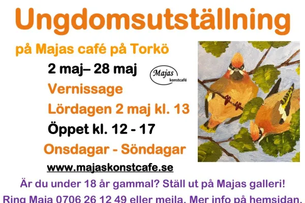 Ungdomsutställning på Torkö