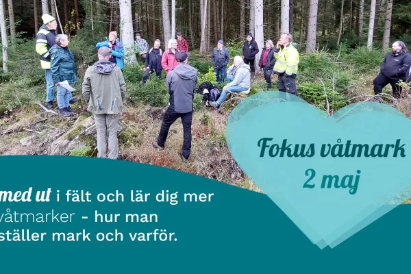 Fältexkursion - Här ska det bli våtmark igen!