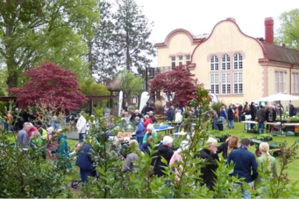 Växtmarknad i Bräkne-Hoby