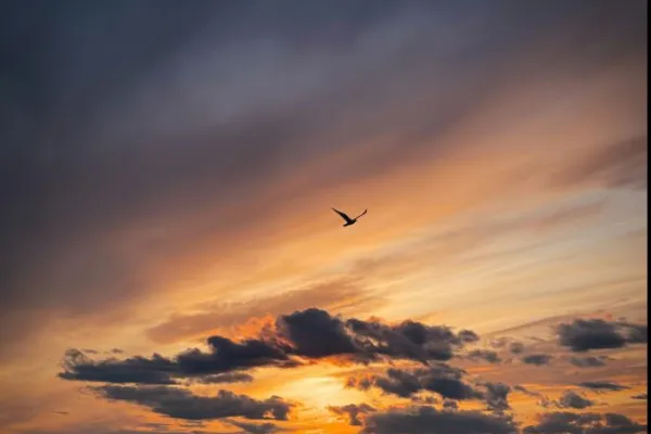 Avsmakningsmeny Villa Vassen 2026