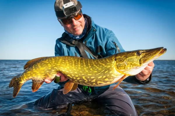 PexFish - fiskeguide