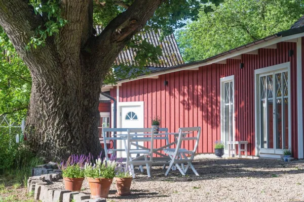Hälsovistelse – Sommarboost 7 - 9 juli